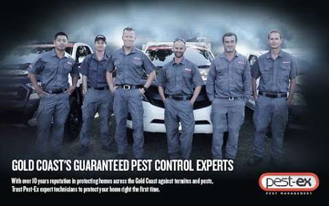 Photo: Pest-Ex Termite & Pest Control Gold Coast